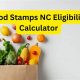 NC Food Stamp Calculator: 2024 Benefits | Old Stamp Collecting Guide: Discover, Value & Preserve Vintage Stamps