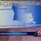 Disaster Food Stamp Application Guide &amp; FAQs | Old Stamp Collecting Guide: Discover, Value & Preserve Vintage Stamps