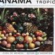Find Panama City Food Stamp Office Locations | Old Stamp Collecting Guide: Discover, Value & Preserve Vintage Stamps