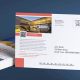 Effective Postcard Mailer Marketing Strategies | Old Stamp Collecting Guide: Discover, Value & Preserve Vintage Stamps