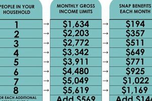 Ne Food Stamp Guidelines | Safem Fabrication - Precision Engineering & Custom Manufacturing Solutions