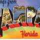 Vintage Tampa Florida Postcards: History & Memories | Old Stamp Collecting Guide: Discover, Value & Preserve Vintage Stamps