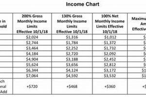 SNAP Eligibility: Income Chart & Guide 2024 | Safem Fabrication - Precision Engineering & Custom Manufacturing Solutions