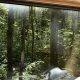 Cozy Postcard Cabins in the Western Catskills Escape | Old Stamp Collecting Guide: Discover, Value & Preserve Vintage Stamps