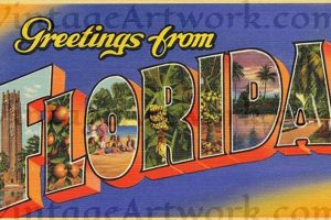 Classic Postcard Florida Scenes & Views Old Stamp Collecting Guide: Discover, Value & Preserve Vintage Stamps Classic Postcard Florida Scenes & Views | Old Stamp Collecting Guide: Discover, Value & Preserve Vintage Stamps