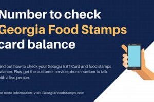 Check Your GA Food Stamp Balance by Phone Now Old Stamp Collecting Guide: Discover, Value & Preserve Vintage Stamps Check Your GA Food Stamp Balance by Phone Now | Old Stamp Collecting Guide: Discover, Value & Preserve Vintage Stamps