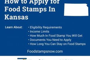 Apply for Kansas Food Stamps: Your Guide Old Stamp Collecting Guide: Discover, Value & Preserve Vintage Stamps Apply for Kansas Food Stamps: Your Guide | Old Stamp Collecting Guide: Discover, Value & Preserve Vintage Stamps