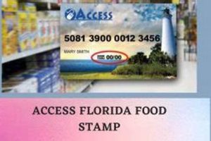 Find Your Access Florida Food Stamp Number & Benefits Old Stamp Collecting Guide: Discover, Value & Preserve Vintage Stamps Find Your Access Florida Food Stamp Number & Benefits | Old Stamp Collecting Guide: Discover, Value & Preserve Vintage Stamps