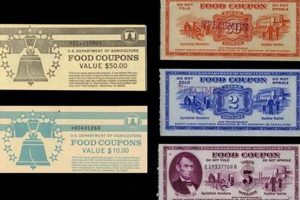 Exploring the Food Stamp Museum: A History Old Stamp Collecting Guide: Discover, Value & Preserve Vintage Stamps Exploring the Food Stamp Museum: A History | Old Stamp Collecting Guide: Discover, Value & Preserve Vintage Stamps