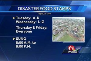 Hurricane Food Stamp Relief: Guide & Resources | Safem Fabrication - Precision Engineering & Custom Manufacturing Solutions
