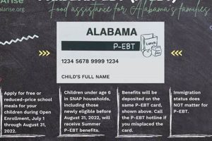 When Does My Food Stamp Card Reload | Safem Fabrication - Precision Engineering & Custom Manufacturing Solutions