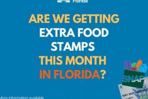FL Food Stamp Interview Phone Number & Contact Info | Safem Fabrication - Precision Engineering & Custom Manufacturing Solutions