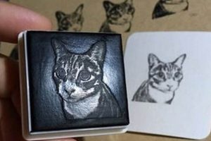 Personalized Custom Cat Face Stamps & Seals | Old Stamp Collecting Guide: Discover, Value & Preserve Vintage Stamps