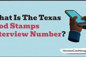Find Your Florida Food Stamp Interview Number | Safem Fabrication - Precision Engineering & Custom Manufacturing Solutions