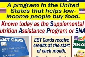 Using Your Food Stamp Card Across State Lines? Old Stamp Collecting Guide: Discover, Value & Preserve Vintage Stamps Using Your Food Stamp Card Across State Lines? | Old Stamp Collecting Guide: Discover, Value & Preserve Vintage Stamps