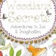 Hidden Messages: The Secret Postcard Book Unveiled | Old Stamp Collecting Guide: Discover, Value & Preserve Vintage Stamps