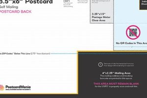 Effective Postcard Layout for Mailing Success Old Stamp Collecting Guide: Discover, Value & Preserve Vintage Stamps Effective Postcard Layout for Mailing Success | Old Stamp Collecting Guide: Discover, Value & Preserve Vintage Stamps