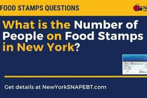 NY Food Stamp Guide: Benefits & Eligibility Old Stamp Collecting Guide: Discover, Value & Preserve Vintage Stamps NY Food Stamp Guide: Benefits & Eligibility | Old Stamp Collecting Guide: Discover, Value & Preserve Vintage Stamps