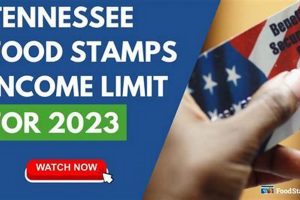 Food Stamp Office Gallatin Tn Old Stamp Collecting Guide: Discover, Value & Preserve Vintage Stamps Food Stamp Office Gallatin Tn | Old Stamp Collecting Guide: Discover, Value & Preserve Vintage Stamps