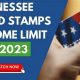 Food Stamp Office Gallatin Tn | Old Stamp Collecting Guide: Discover, Value & Preserve Vintage Stamps