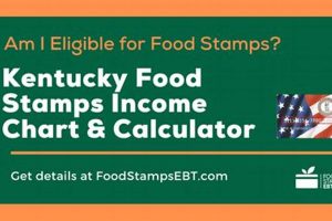 Decatur AL Food Stamp Office: Your Guide & Resources Old Stamp Collecting Guide: Discover, Value & Preserve Vintage Stamps Decatur AL Food Stamp Office: Your Guide & Resources | Old Stamp Collecting Guide: Discover, Value & Preserve Vintage Stamps