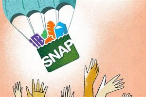 How To Change Food Stamp Pin Old Stamp Collecting Guide: Discover, Value & Preserve Vintage Stamps How To Change Food Stamp Pin | Old Stamp Collecting Guide: Discover, Value & Preserve Vintage Stamps