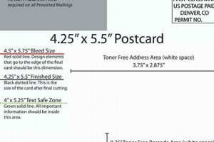Free USPS Postcard Templates & Size Requirements | Old Stamp Collecting Guide: Discover, Value & Preserve Vintage Stamps