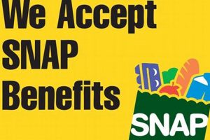 Lost Food Stamp Card GA: Guide &amp; FAQs | Old Stamp Collecting Guide: Discover, Value & Preserve Vintage Stamps