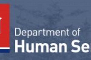 Food Stamp Office Memphis Tn Phone Number | Old Stamp Collecting Guide: Discover, Value & Preserve Vintage Stamps