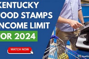 KY Food Stamp Income Limits 2024 Guide | Safem Fabrication - Precision Engineering & Custom Manufacturing Solutions