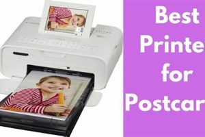 Find the Best Postcard Printing Services Online Old Stamp Collecting Guide: Discover, Value & Preserve Vintage Stamps Find the Best Postcard Printing Services Online | Old Stamp Collecting Guide: Discover, Value & Preserve Vintage Stamps
