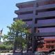 Topeka Food Stamp Office | Old Stamp Collecting Guide: Discover, Value & Preserve Vintage Stamps