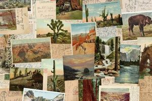 Creative Postcard Collage Ideas & Inspiration Old Stamp Collecting Guide: Discover, Value & Preserve Vintage Stamps Creative Postcard Collage Ideas & Inspiration | Old Stamp Collecting Guide: Discover, Value & Preserve Vintage Stamps