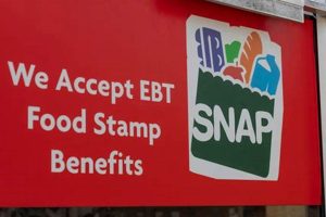 Find Bessemer Food Stamp Office Locations & Info Old Stamp Collecting Guide: Discover, Value & Preserve Vintage Stamps Find Bessemer Food Stamp Office Locations & Info | Old Stamp Collecting Guide: Discover, Value & Preserve Vintage Stamps