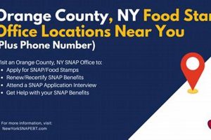 SNAP Benefits & Food Stamps: East Orange Office | Old Stamp Collecting Guide: Discover, Value & Preserve Vintage Stamps