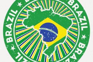 Guide to Brazil Passport Stamps: Entry & Exit Old Stamp Collecting Guide: Discover, Value & Preserve Vintage Stamps Guide to Brazil Passport Stamps: Entry & Exit | Old Stamp Collecting Guide: Discover, Value & Preserve Vintage Stamps