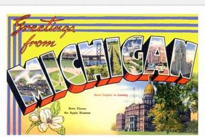 Discover the Michigan Postcard Project: Share Your Story Old Stamp Collecting Guide: Discover, Value & Preserve Vintage Stamps Discover the Michigan Postcard Project: Share Your Story | Old Stamp Collecting Guide: Discover, Value & Preserve Vintage Stamps