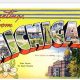 Discover the Michigan Postcard Project: Share Your Story | Old Stamp Collecting Guide: Discover, Value & Preserve Vintage Stamps