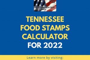 Find Your Tennessee Food Stamp Number & Benefits Old Stamp Collecting Guide: Discover, Value & Preserve Vintage Stamps Find Your Tennessee Food Stamp Number & Benefits | Old Stamp Collecting Guide: Discover, Value & Preserve Vintage Stamps