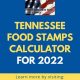 Find Your Tennessee Food Stamp Number & Benefits | Old Stamp Collecting Guide: Discover, Value & Preserve Vintage Stamps