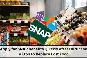 Hurricane Milton: Food Stamp Replacement Guide Old Stamp Collecting Guide: Discover, Value & Preserve Vintage Stamps Hurricane Milton: Food Stamp Replacement Guide | Old Stamp Collecting Guide: Discover, Value & Preserve Vintage Stamps