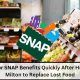 Hurricane Milton: Food Stamp Replacement Guide | Old Stamp Collecting Guide: Discover, Value & Preserve Vintage Stamps