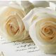 Beautiful Wedding Postcard Stamps by USPS | Old Stamp Collecting Guide: Discover, Value & Preserve Vintage Stamps