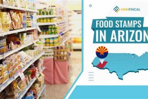 Apply for Food Stamp Benefits in AZ Today Old Stamp Collecting Guide: Discover, Value & Preserve Vintage Stamps Apply for Food Stamp Benefits in AZ Today | Old Stamp Collecting Guide: Discover, Value & Preserve Vintage Stamps
