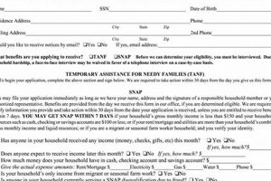 Apply for Food Stamp Online TN: Easy Guide | Old Stamp Collecting Guide: Discover, Value & Preserve Vintage Stamps