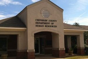 Find Greenville MS Food Stamp Office Locations Old Stamp Collecting Guide: Discover, Value & Preserve Vintage Stamps Find Greenville MS Food Stamp Office Locations | Old Stamp Collecting Guide: Discover, Value & Preserve Vintage Stamps
