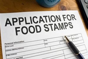 Ace Your Food Stamp Interview: Tips & Tricks Old Stamp Collecting Guide: Discover, Value & Preserve Vintage Stamps Ace Your Food Stamp Interview: Tips & Tricks | Old Stamp Collecting Guide: Discover, Value & Preserve Vintage Stamps