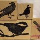 Beautiful Bird Rubber Stamps for Crafting | Old Stamp Collecting Guide: Discover, Value & Preserve Vintage Stamps