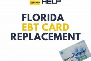Lost FL EBT Card? Act Now! Old Stamp Collecting Guide: Discover, Value & Preserve Vintage Stamps Lost FL EBT Card? Act Now! | Old Stamp Collecting Guide: Discover, Value & Preserve Vintage Stamps