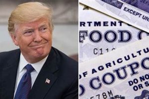 Trump Stopping Food Stamp Old Stamp Collecting Guide: Discover, Value & Preserve Vintage Stamps Trump Stopping Food Stamp | Old Stamp Collecting Guide: Discover, Value & Preserve Vintage Stamps